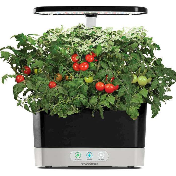 Aerogarden Harvest 6-Pod With Gourmet Herb Seed Pod Kit