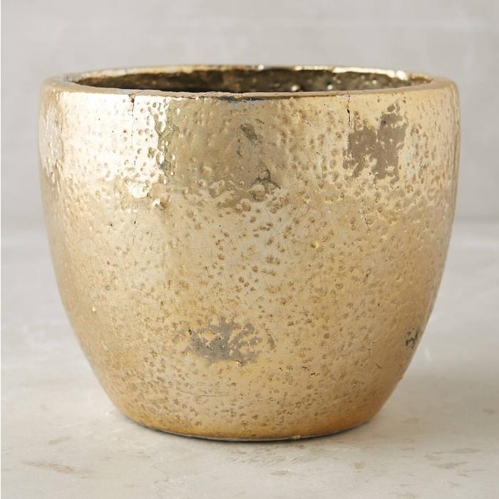 Anthropologie Aureate Pot