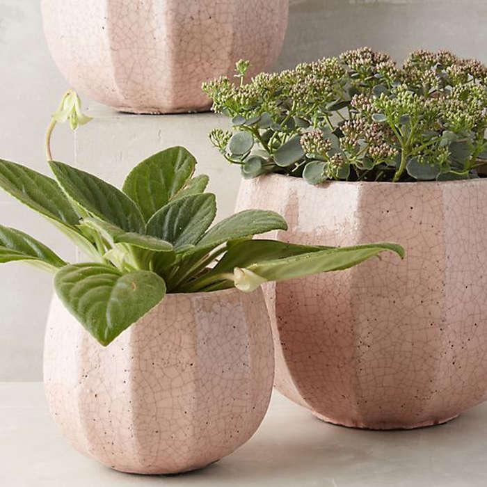 Anthropologie  Ridged Terracotta Pot