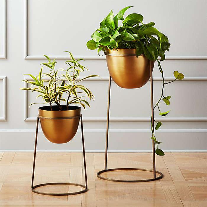 CB2 Milo Brass Planter On Stand