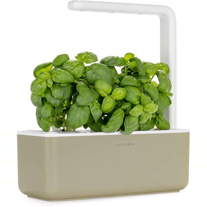 Click And Grow The Smart Garden 3