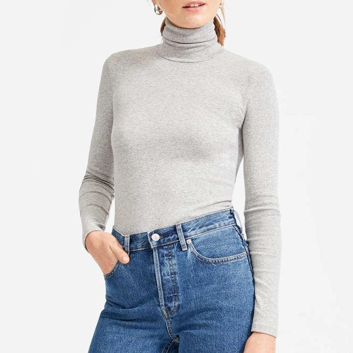 Everlane The Pima Micro Rib Turtleneck