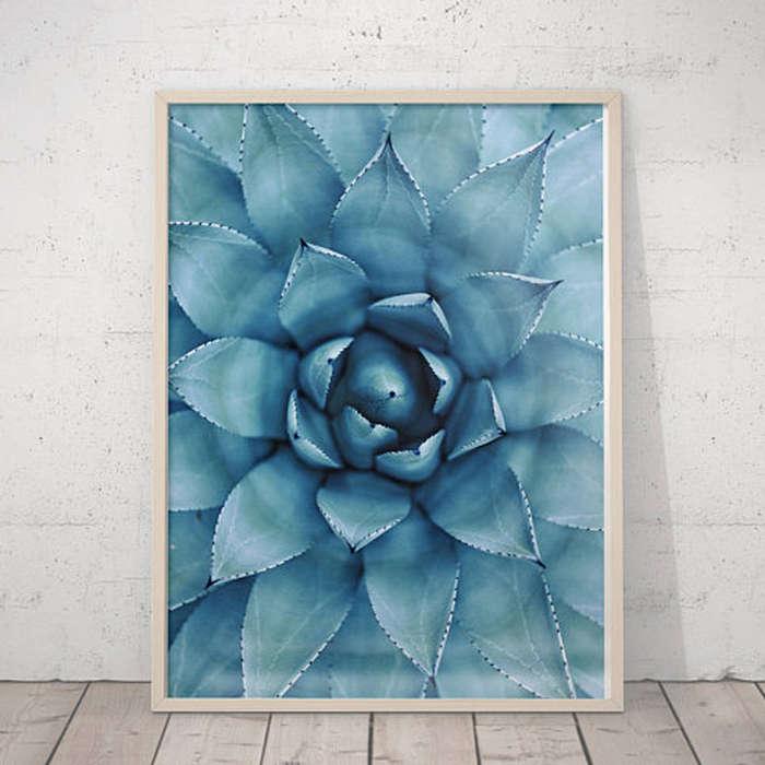 LilaPrints Succulent Print