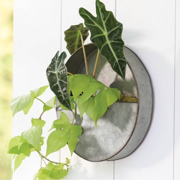 Threshold 10-Inch Round Galvanized Wall Planter